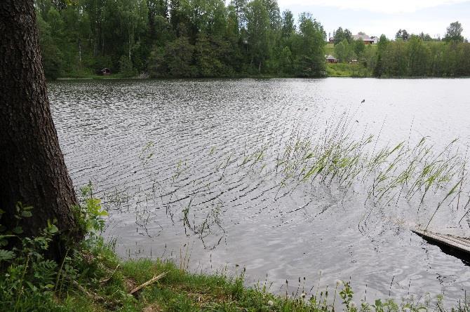 VL Hersjøen, utløp (HERSJ_u) Navn Foto: Helge B.