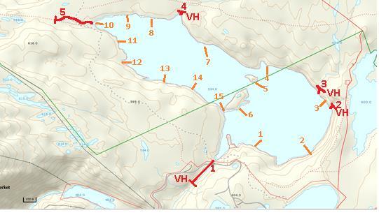 . Bedre fiske i regulerte vassdrag i Nordland. Fagrapport 1999. Fylkesmannen i Nordland, Miljøvernavdelingen. Rapport nr.1. 73 sider.