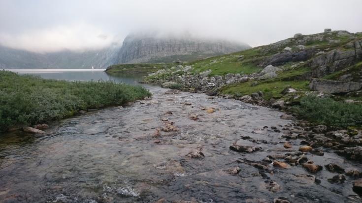 Ferskvannsbiologen Rapport 17-7 «Tjern», som ligger ovenfor «Tjern 1», var det for grunt til å sette garn, men det ble observert en del fisk.