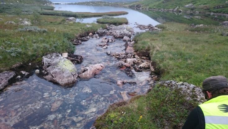 Øvrige bekker faller bratt inn i Øvre Glomvatn, og har vandringshindre i kort avstand fra innsjøen. Figur 3 Bilder av Bekk 1, som renner mellom Tjern 1 og Øvre Glomvatn.