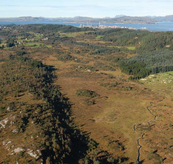 av øyrekka. Den andre bruddretningen går parallelt med kysten og Hjeltefjorden, og har gitt opphav til talløse kløfter og mindre sund i nord- nordvestlig retning.