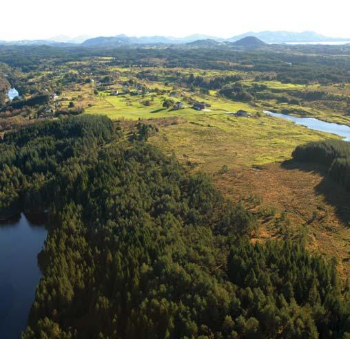 I dag er mye av regionens tidligere åpne heiområder skogkledt som følge av naturlig gjengroing eller tilplanting.