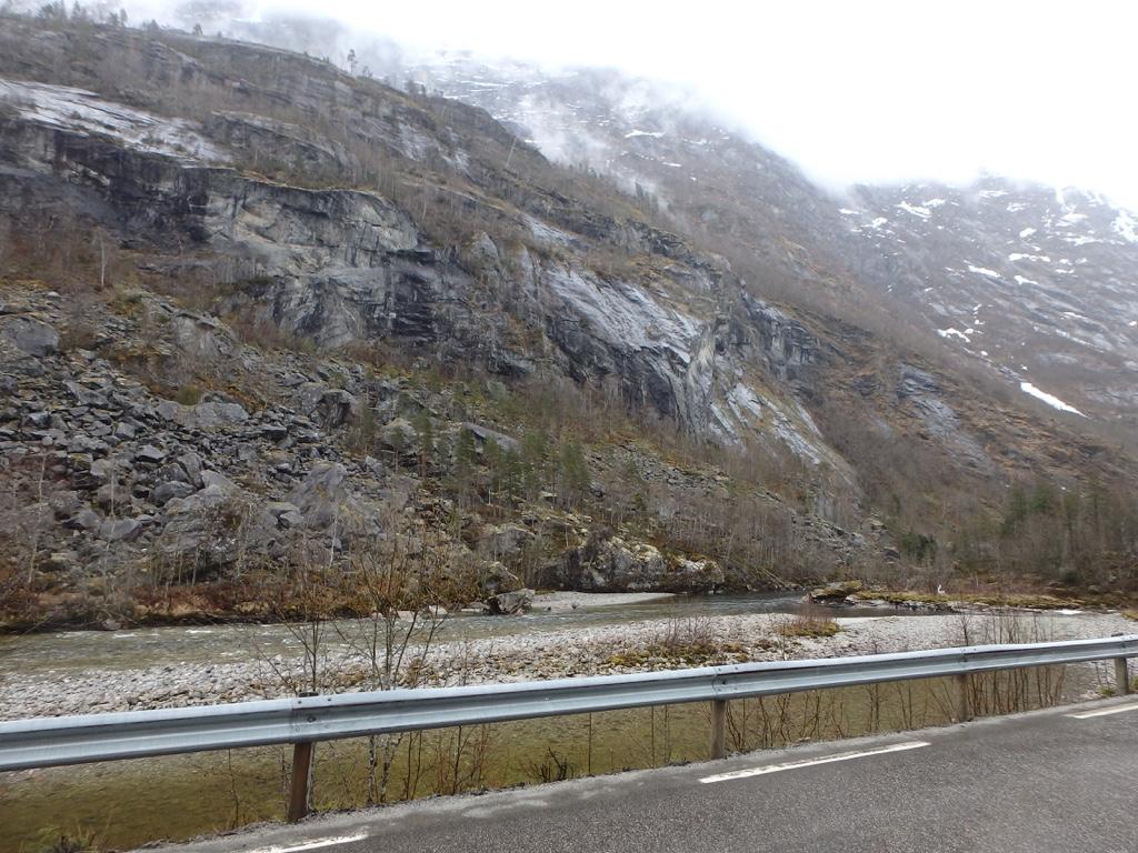 Foto: Geir Gaarder Parti av skogen innenfor kjerneområde 1 - Tjøredisken 1, samt flåg