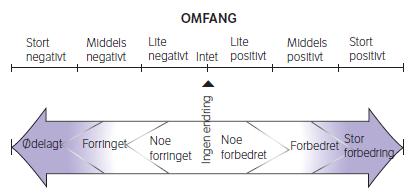 Verdien blir fastsatt langs en skala som spenner fra liten verdi til stor verdi (se eksempel under): Verdi Liten Middels Stor ------------------------------ ----------------------------- TRINN 2: