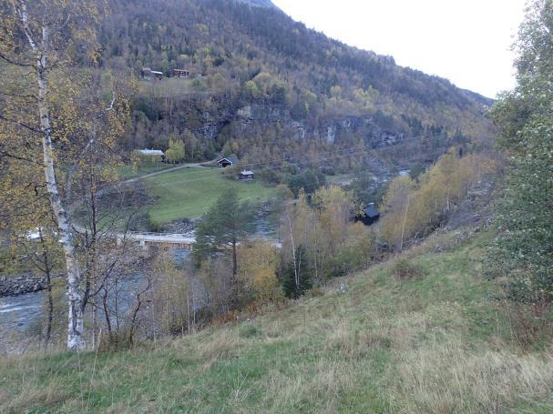 SKOGBRUKSOMRÅDER Skogen i tiltaksområdet har varierende bonitet (figur 8). På østsiden av elva er det noe høyere bonitet enn på vestsida.