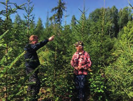 Velg Skog på