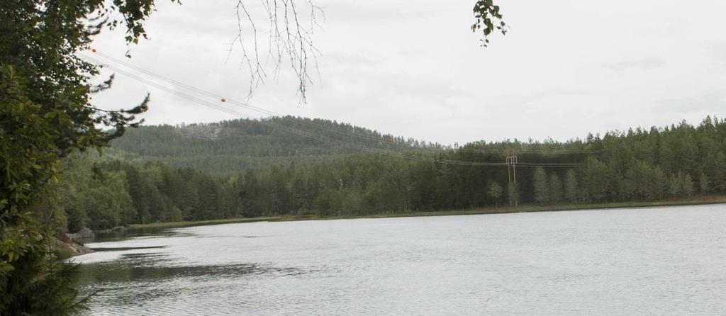 Figur 7: Visualisering av spennet (2X) fra Haugsjåsund.