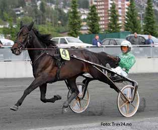 Muscles Wiking B.R. «den hjemvendte sønn» tilbys til trønderske hoppeeiere for avl sesongen 2016 Bak prosjektet står eier av hesten, Johnny Sørgård og Harald Kvåle, innehaver av Lauvåsen avlsstasjon!