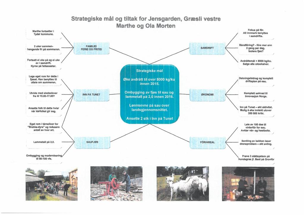 Marthe fortsetter i Tydal kommune. Strategsk- måll og ffitak for Jensgarden, Gr sfi vestre Marth og OF Mort n Fokus på f6r.