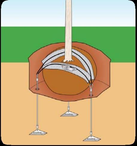 PLATIPUS TREANKRINGERSYSTEM MED JORD ANKER Platipus løsning for forankring av rot klump med PLATI- MAT RF1P: Platipus rot klump forankring system med Platipus jord anker og Plati- Mats for trær opp