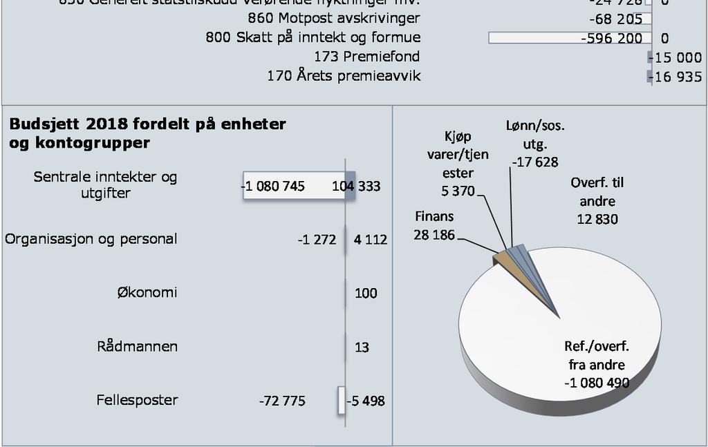 utgifter Økonomiske