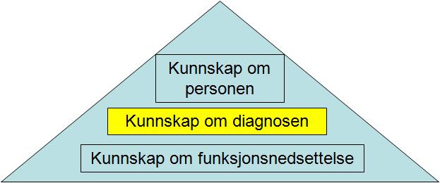 Testing og Kartlegging Alle tiltak må ta utgangspunkt i kjennskap til personen og til