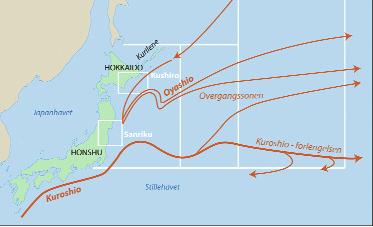 betydningen av predasjon fra de økende bestandene av marine pattedyr, og kan bidra til å skape balanse mellom behovet til fiskeriene og behovet for å bevare bestandene av marine pattedyr.