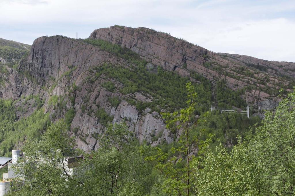 Bilde 15. Østre del av linjetraseen.