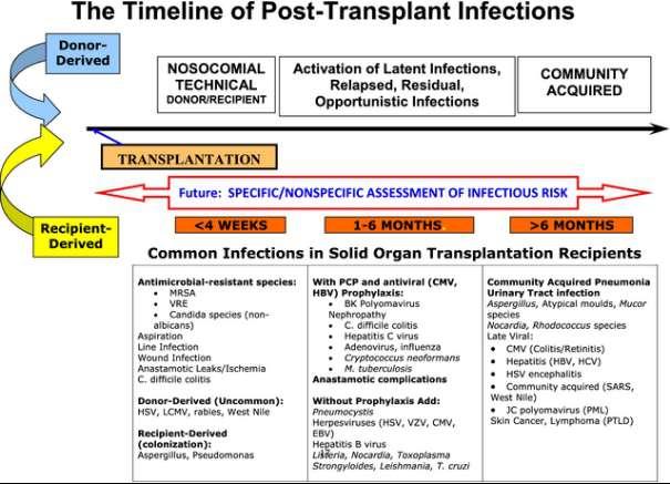 Figur 3. Risikoprofil for infeksjon ved ulike tidsperioden etter solid organtransplantasjon (18) Første måned etter transplantasjon er de to viktigste årsakene til infeksjon 1.