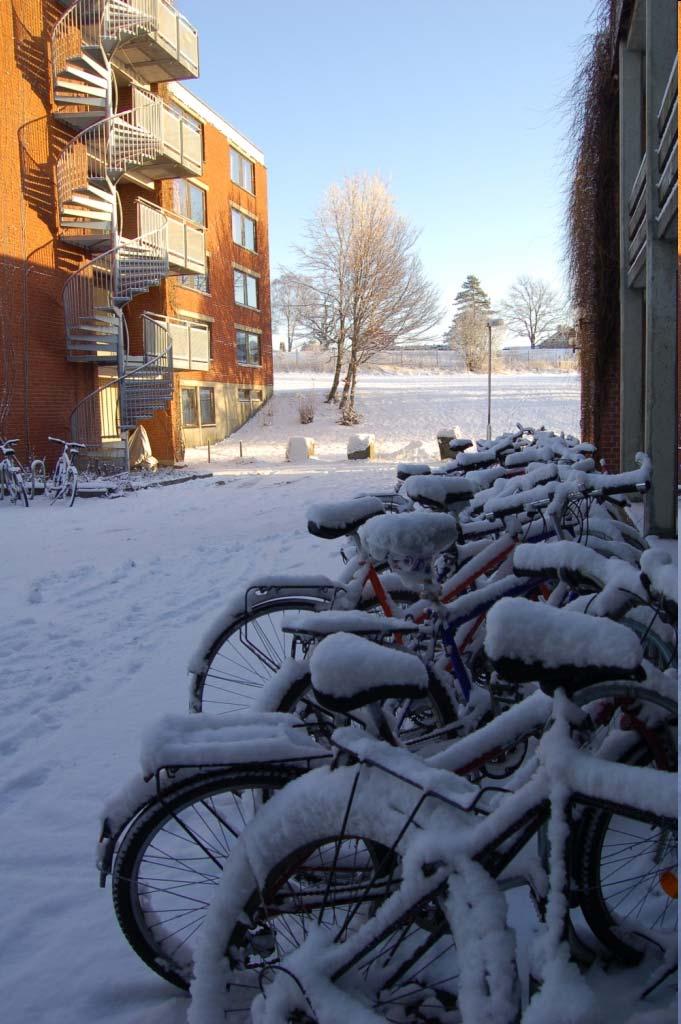 I dag tilbyr UMB i samarbeid med SiÅs en hybelgaranti for alle nye studenter ved universitetet De fleste bor på Pentagon Kan delvis forklare det store engasjementet blant studentene?