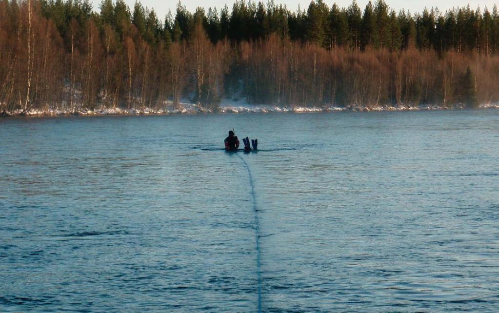 Kald jobb! Gytegropregisteringer i Søndre Rena i november 2006. Den høyeste tettheten av gytegroper etter ørret ble registrert rett ovenfor og nedenfor Kjøllsæterbrua.