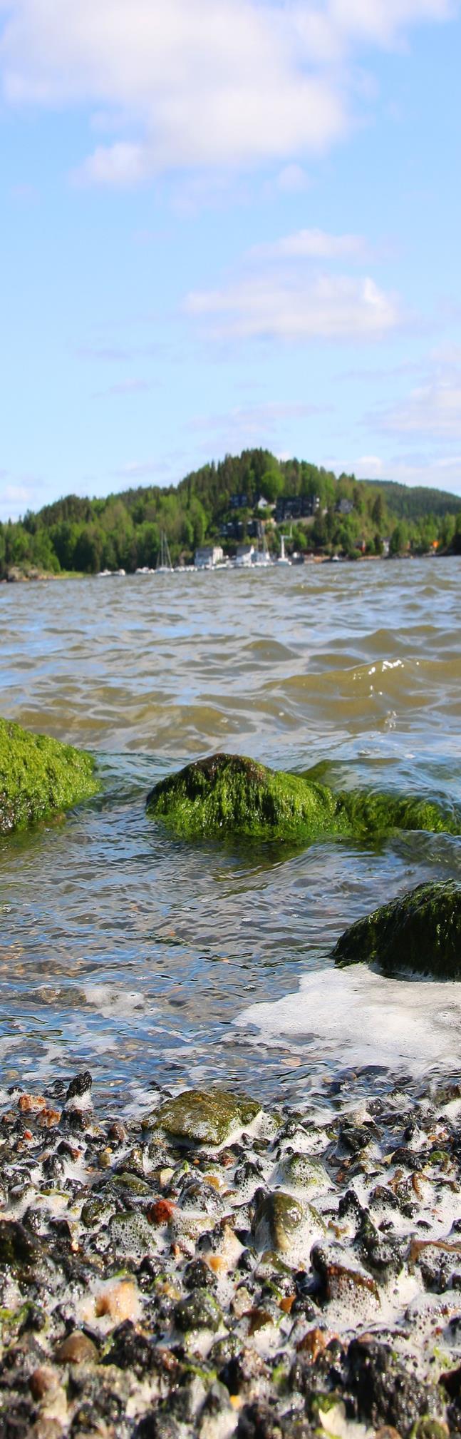 PURA SKAL FORTSETTE MED Å: sikre at kommunene innfrir sine forpliktelser iht.