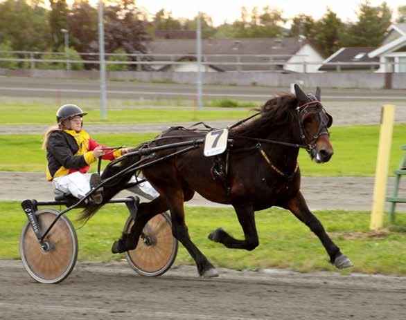 8 Røyns Turbo 8 3 år Br.borket V v. Voje Spik e. Røyns Lisa v. Krembest Arild Kristian Sandvik /Brekstad Monika Fremstad (T) grå m/rød/svart ermstr., svart hesteho Tips: 2-1-3-5 M.