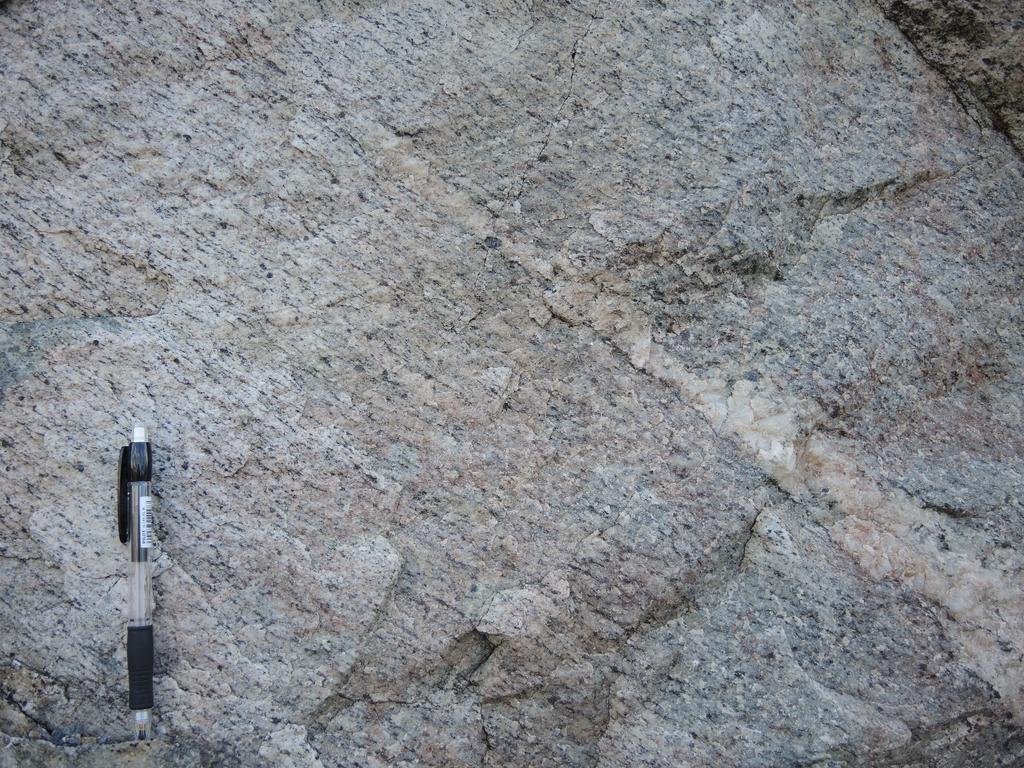 Foto 12[PN_1278]: Bergblotning langs Fv613 ved ~pel 35400. Bergarten er granittisk gneis.
