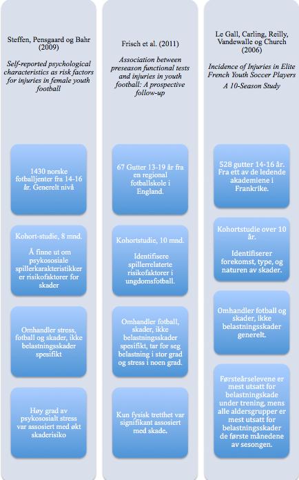 Figur 5: Analyse av litteratur.