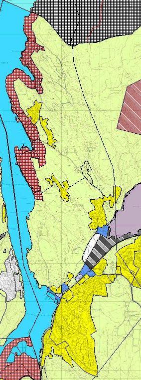 Området merket rødt langs strandsonen er områder som skal reguleres Områder merket lyst grønt er LNF-områder Området merket blått ved Nesset er næringsområder Området merket gult er framtidig