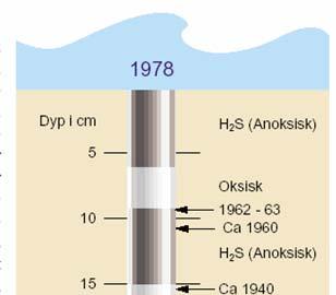De foreløpige miljømålene for dypvannet i Bunnefjorden blir således: Lavt ambisjonsnivå. Oksygenkonsentrasjoner >0 ml/l Middels ambisjonsnivå: Oksygenkonsentrasjoner > 0.