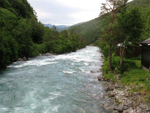 Det finnes naturlige forekomster av aure, sjøaure, laks, ål, trepigget stingsild og skrubbe i Drivavassdraget. I tillegg er røye, ørekyt og regnbueaure innført til vassdraget.