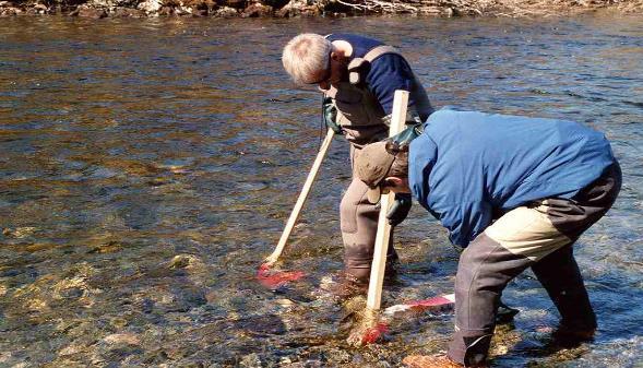 vandringshinderet i Magalaupet. Formålet var å kartlegge fiskesamfunnet og påvise eventuell ukjent forekomst av langtidsverter.