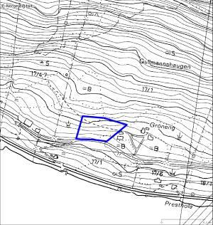 03. Grøneng Lokalitetsnamn: Grøneng Dato 19.06.07 UTM LN 03672 67898 Kartblad 1317 III, Balestrand Verdi B Naturtype Hagemark (D05) Areal 13 daa Kommune Balestrand Inventør Leif Hauge Fig. 5.