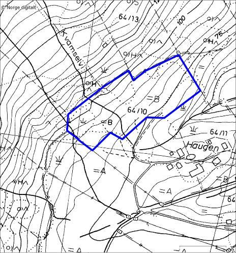 05. Engum Lokalitetsnamn: Engum Dato 20.06.07 UTM LN 03584 67682 Kartblad 1317 III, Balestrand Verdi B Naturtype Hagemark (D 05) Areal 17 daa Kommune Vik Inventør Leif Hauge Fig. 7.