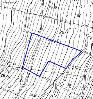 06. Ovrid Lokalitetsnamn: Ovrid Dato 08.08.06 UTM LN 03703 67708 Kartblad 1317 II, Leikanger Verdi B Naturtype Slåttemark Areal Ca. 15 daa Kommune Vik Inventør Leif Hauge Fig. 8.