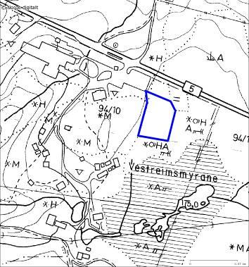 11. Vollane, Sogn Folkemuseum Lokalitetsnamn: Vollane, Sogn Folkemuseum Dato 20.06.2007 UTM MN 04028 67873 Kartblad 1417 III, Sogndal Verdi B Naturtype Slåttemark (D01) Areal Ca.