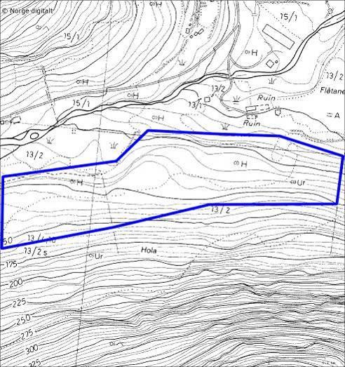 17. Fosseteigen Lokalitetsnamn: Fosseteigen Dato 01.08.2007 UTM MN 42050 67690 Kartblad 1417 II, Lærdal Verdi B Naturtype Hagemark (bjørkehage) (D05) Areal Ca.