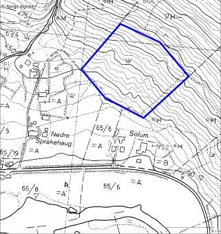 21. Steinklepp Lokalitetsnamn: Steinklepp Dato 31.07.2006 UTM MN 04394 67742 Kartblad 1517 III, Borgund Verdi B Naturtype Naturbeitemark (D04) Areal 20 daa Kommune Lærdal Inventør Leif Hauge Fig. 23.