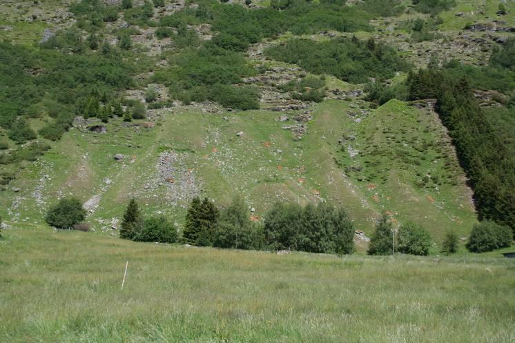 Beskrivelse: Beitemarka ligg langs bergfoten på Steinklepp. Grunnen er for det meste bygd opp av morene- og skredjord. Massane er tydleg ravinerte med små søkk og ryggar.