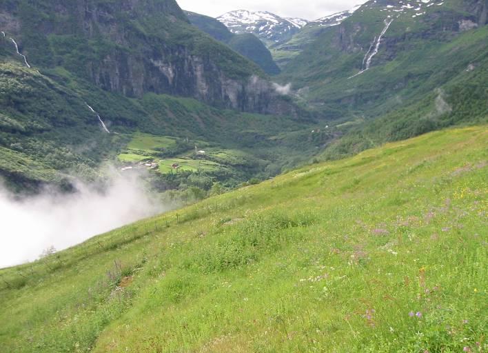 Hovudtype: Gardslandskap, slåttemark (fig. 27). Landskapsregion 23, Indre bygder på Vestlandet. Region 6, Aurland.