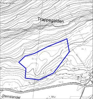 26. Steine Lokalitetsnamn: Steine Dato 03.07.2007 UTM LN 04084 67499 Kartblad 1416 IV, Aurland Verdi B Naturtype Hagemark (D05) (bjørkehage) Areal 20 daa Kommune Aurland Inventør Leif Hauge Fig. 28.