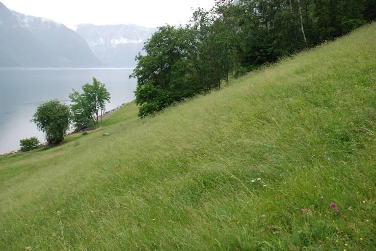 Avgrensing og foto frå området Hovudtype: Gardslandskap, slåttemark og naturbeitemark (fig. 29). Landskapsregion 23, Indre bygder på Vestlandet. Region 9, Årdal.