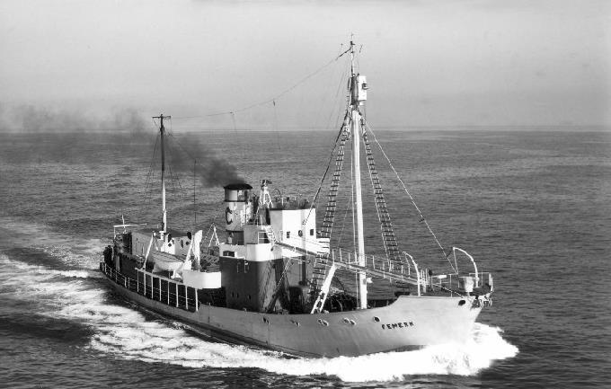 SFJ00219510420001 DS/Hvb FEMERN. Bilde via Narve Sørensen. 1951 DS/Hvb FEMERN (SFJ002195104) Type Dampskip, hvalbåt steam ship, whale cather Off.
