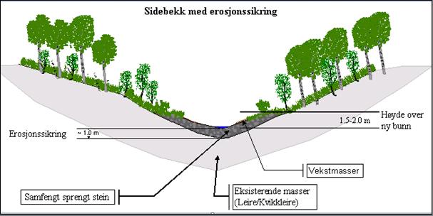 3.2 Miljøtilpassing av bekkeprofilet For sikringsarbeidene som skal utføres gjelder følgende: Kantvegetasjonen er en viktig del av det totale miljøet langs et vassdrag.