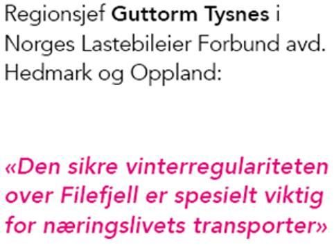 E16 SIDE 16 13. SYNSPUNKTER OG INNSPILL Både Oppland fylkeskommune og Hedmark fylkeskommune har i NTP prosessen prioritert E16 som en hovedforbindelse mellom Østlandet og Vestlandet.