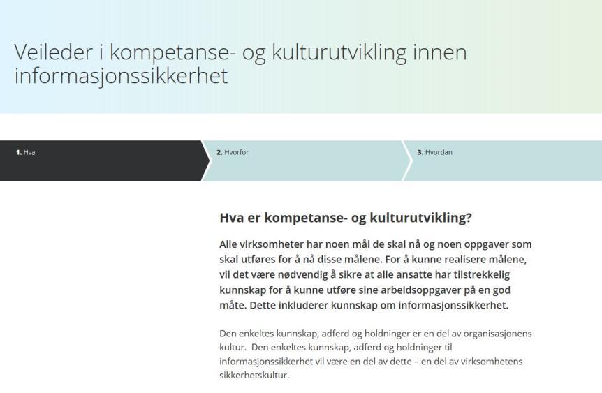 Kompetanse- og kulturutvikling Mål: kompetansen til