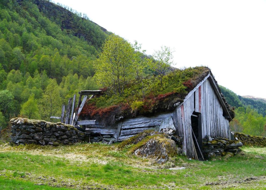 Kun tre av bygningene er registrert med tapsårsaken falt i ruin.