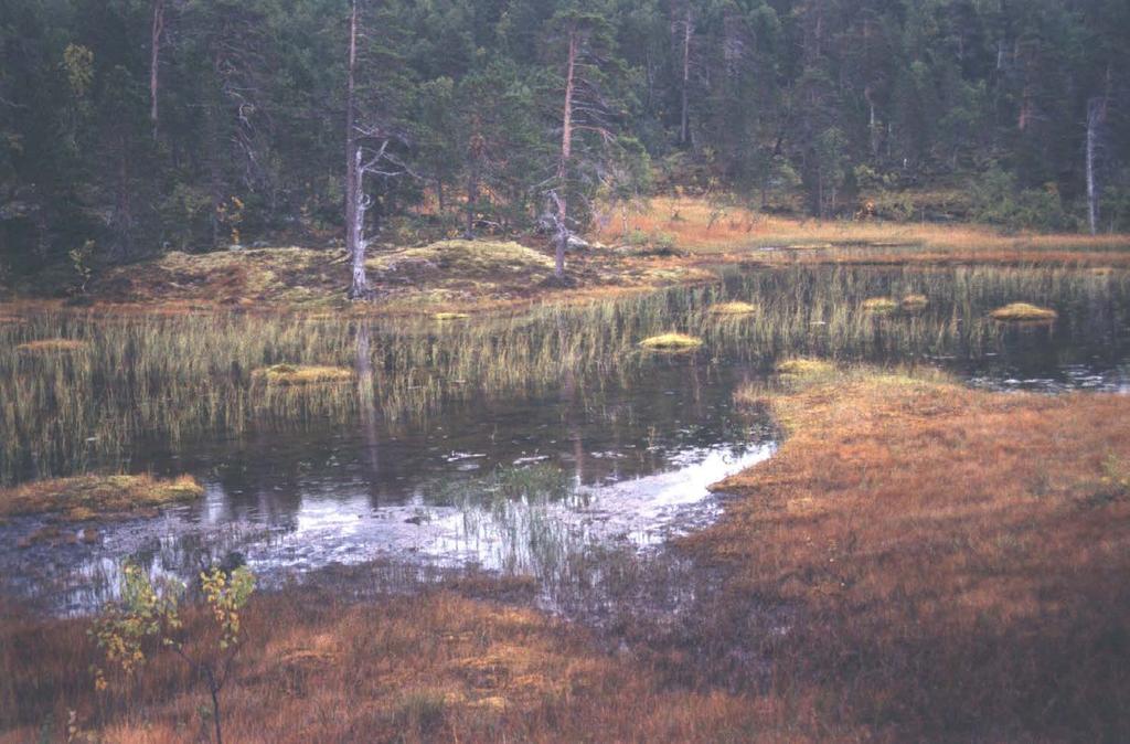 1371 Brukerundersøkelse Ånderdalen nasjonalpark sommeren 2016 Sofie