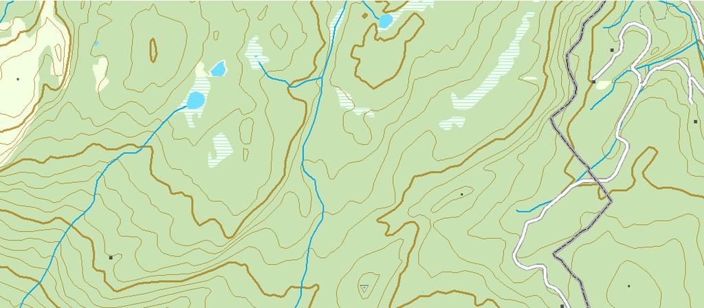 Lomtjenn Naturfaglige registreringer i forbindelse med vern av skog under ordningen "frivillig