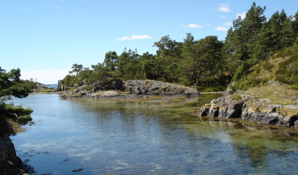 Skjærgårdstjenesten har reservert fortøyningsplass.