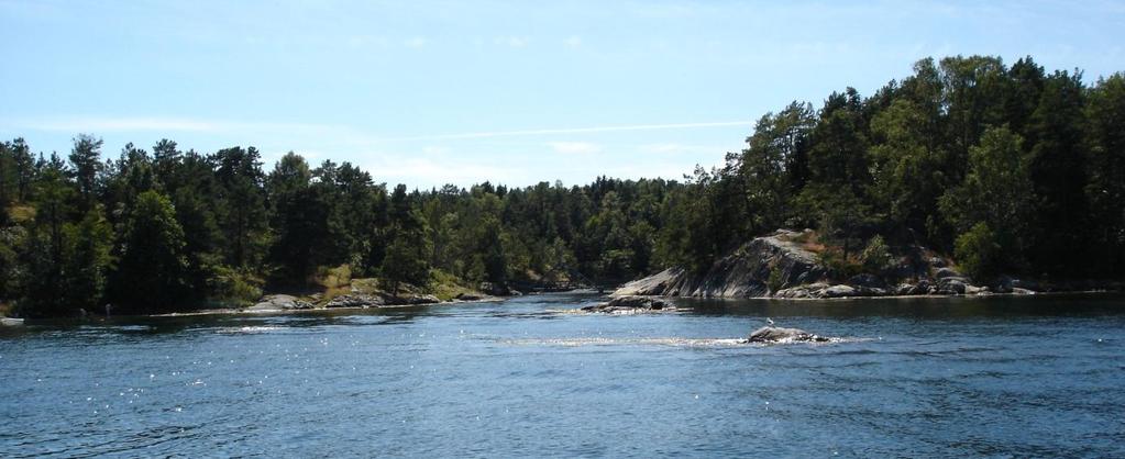 Figur: 13. Fra nord, Furuholmen t.h. og Skarsholmen t.v. i bildet. Det er gangbru i mellom.