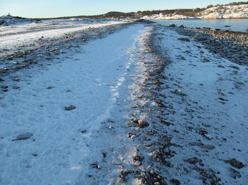 Tydelige, terrasserte strandvoller av Ramorenen på østpynten av Tromlingene. Foto: Karin Guttormsen Figur: 19.