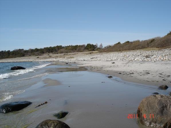 Her en situasjon da det var skylt opp mye sand. Foto: Karin Guttormsen Figur: 31.